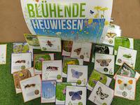 Sonderausstellung Bluehende Heuwiesen_ Fundreich _1_